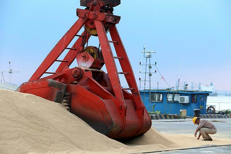  Đậu tương nhập khẩu tại một cảng biển ở Giang Tô (Trung Quốc). Ảnh: Reuters 