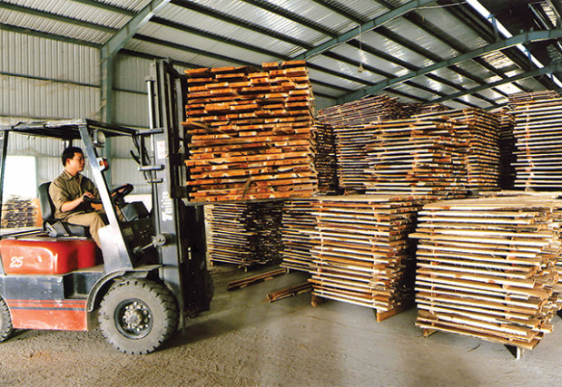 Vận chuyển, bốc xếp gỗ thành phẩm tại Nhà máy chế biến của Công ty cổ phần xi măng Tuyên Quang. Ảnh: Thanh Hà.