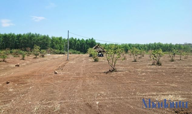  Một dự án phân lô bán nên trái phép trên địa bàn huyện Trảng Bom, Đồng Nai hồi tháng 3/2021. 