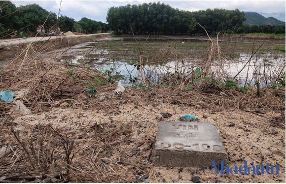 “Chiêu bài” đổ trụ bê tông, chôn cột mốc để đánh lừa khách hàng bán đất giá cao tại huyện Cam Lâm. Ảnh: Việt Tùng