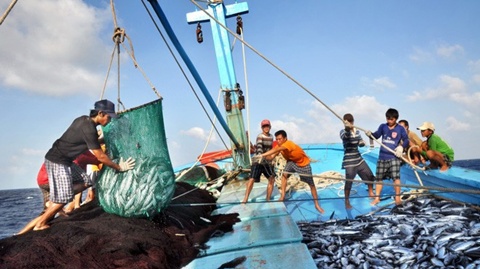 BIDV dành 15.000 tỷ đồng cho vay phát triển thủy sản theo Nghị định 67/2014/NĐ-CP. Nguồn: internet