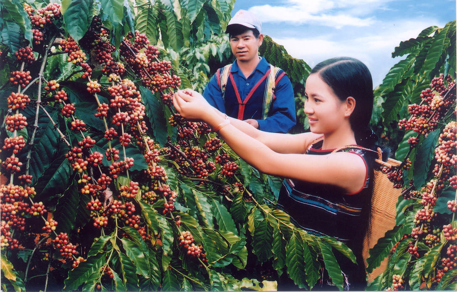  Dự án “Chuyển đổi nông nghiệp bền vững tại Việt Nam” được thực hiện từ năm 2015 đến năm 2020.