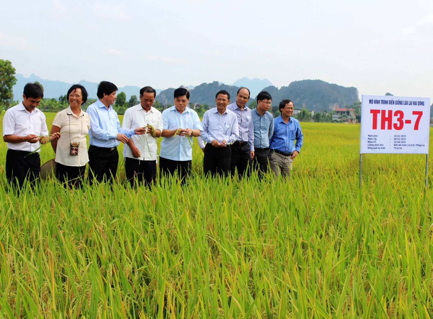 Trong 5 năm gần đây, giá trị sản xuất nông, lâm nghiệp, thủy sản của tỉnh Ninh Bình bình quân hàng năm tăng 2%. 