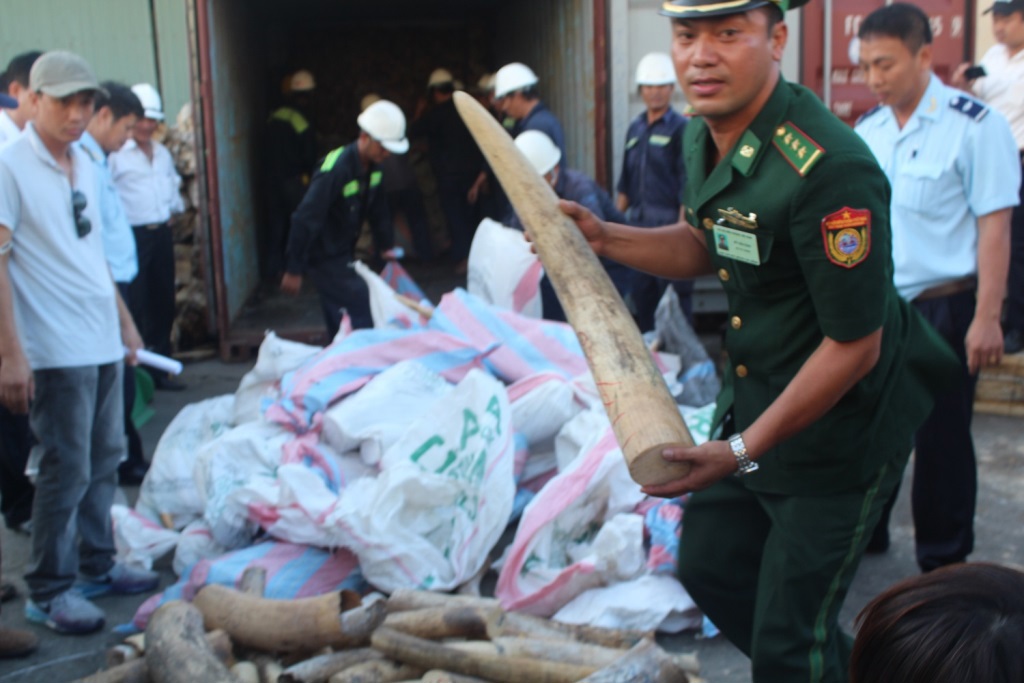 Số ngà voi lậu bị phát hiện tại cảng Tiên Sa. Nguồn: internet