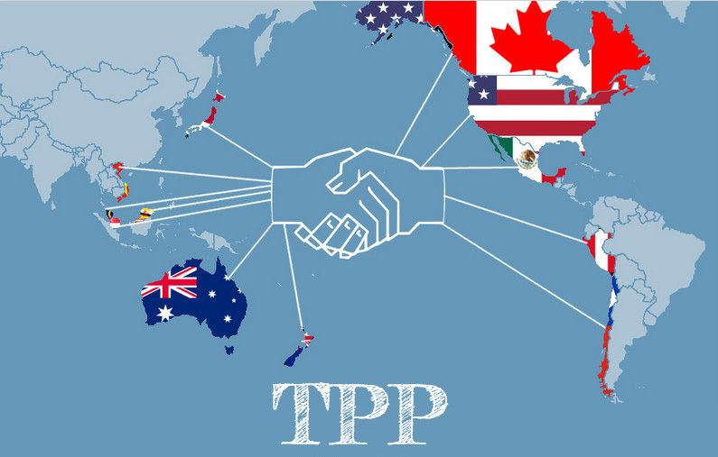 TPP là một “cơn bão” cơ hội, nhưng khi muốn đầu tư ra nước ngoài, các doanh nghiệp Việt cần chuẩn bị kỹ càng. Nguồn: internet