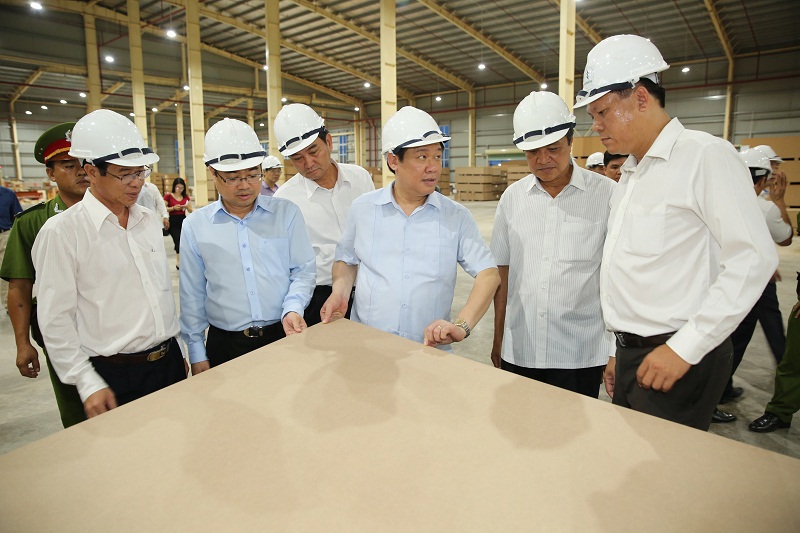  Phó Thủ tướng Vương Đình Huệ khảo sát tại Nhà máy chế biến gỗ MDF Kiên Giang. 