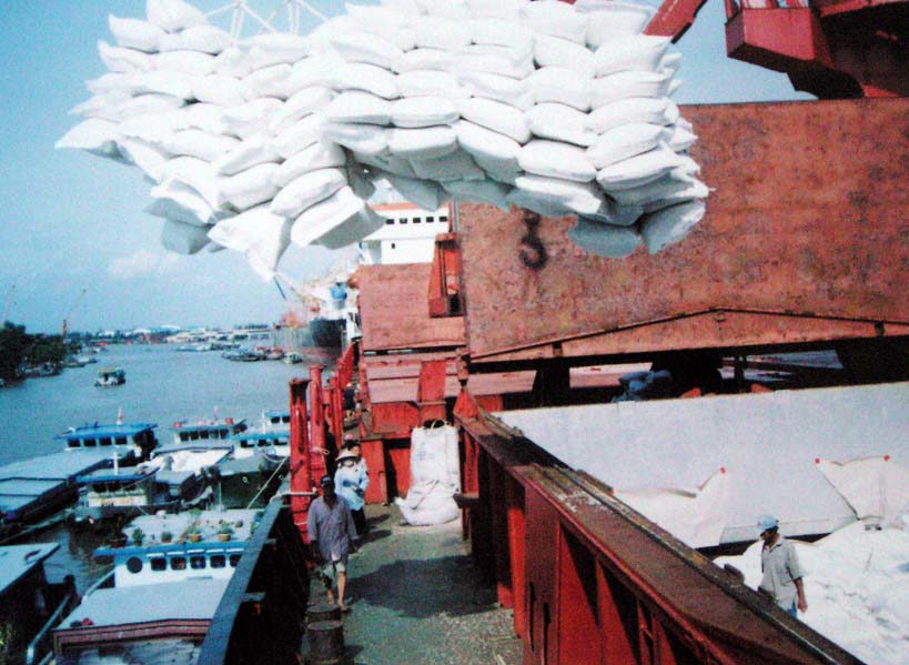 Gạo là một trong những mặt hàng xuất khẩu chủ lực của Việt Nam sang Philippin. Nguồn: internet
