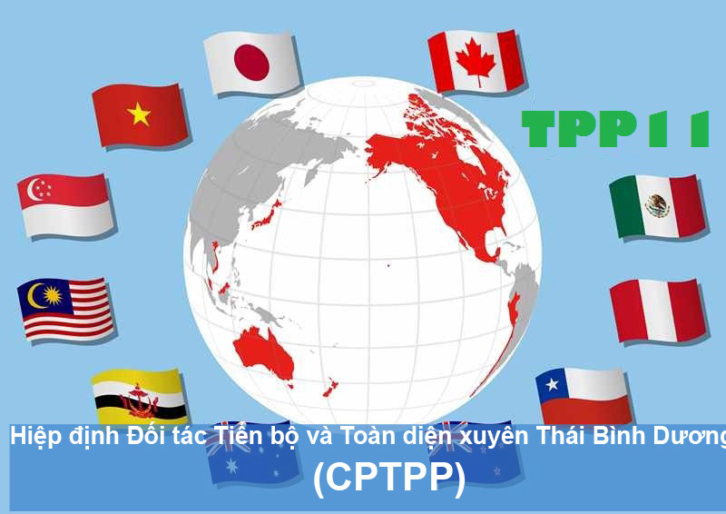 CPTPP là hiệp định toàn diện. Nguồn: internet