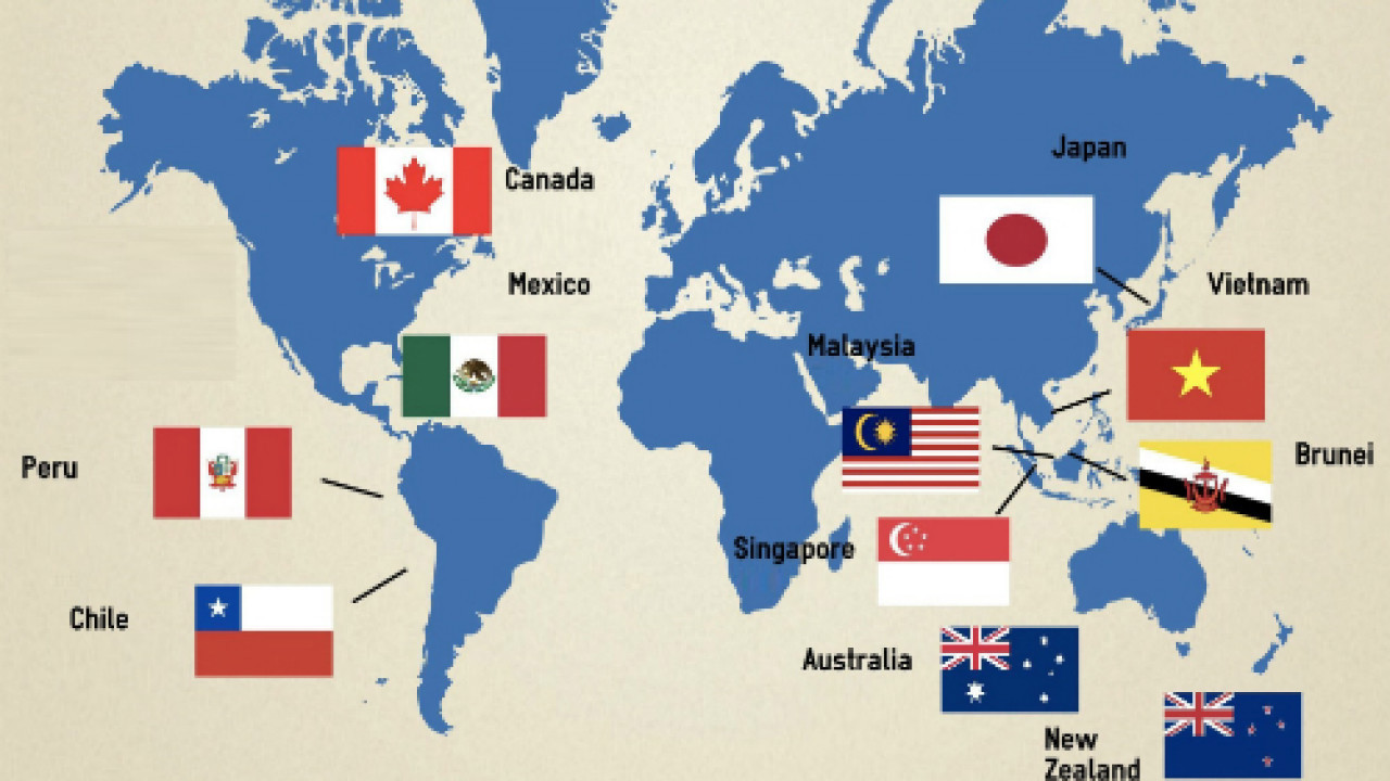 11 nước thành viên tham gia hiệp định CPTPP. Nguồn: internet