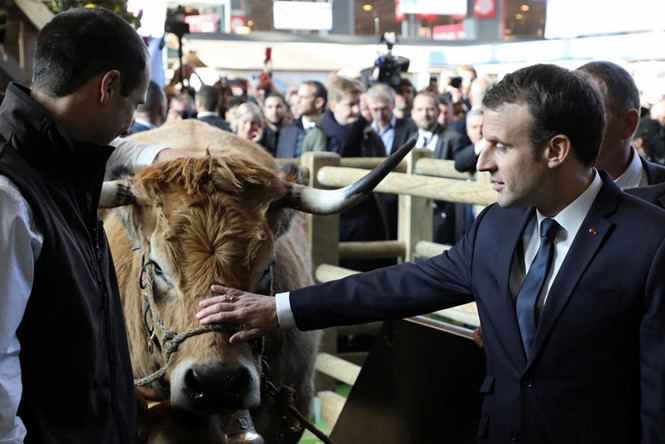  Tổng thống Pháp Emmanuel Macron khẳng định đất nông nghiệp của nước này là tài sản đầu tư chiến lược. Ảnh: Reuters 