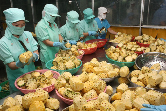 Sản xuất và xuất khẩu nông sản của Việt Nam những năm qua đã đạt tiến bộ về nhiều mặt. Nguồn: internet