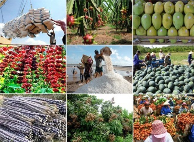 Việt Nam có tiềm năng và đang nằm trong top đầu của một số ngành hàng xuất khẩu nông sản có giá trị. Nguồn: internet