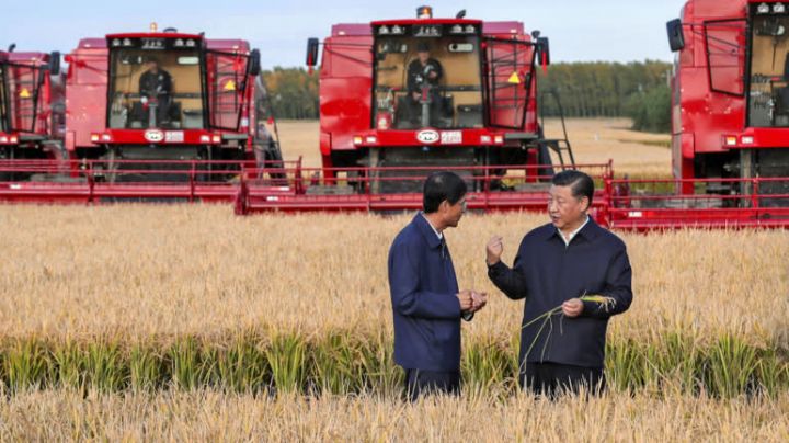   Chủ tịch Trung Quốc Tập Cận Bình thăm một nông trại ở tỉnh Hắc Long Giang hồi tháng Chín. Ảnh: Tân hoa xã