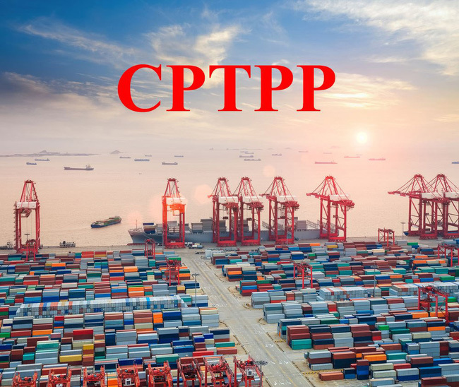 Hiệp định CPTPP bao gồm các yêu cầu cụ thể về lao động để đảm bảo tự do thương mại. Nguồn: internet