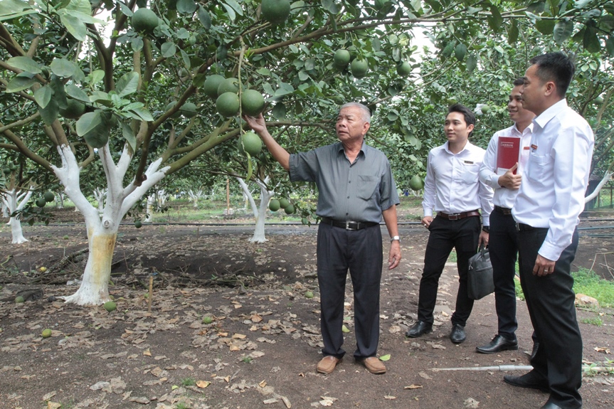 Nguồn vốn Agribank đầu tư phát triển "Tam nông" chiếm 50% thị phần tín dụng nông nghiệp, nông thôn tại Việt Nam