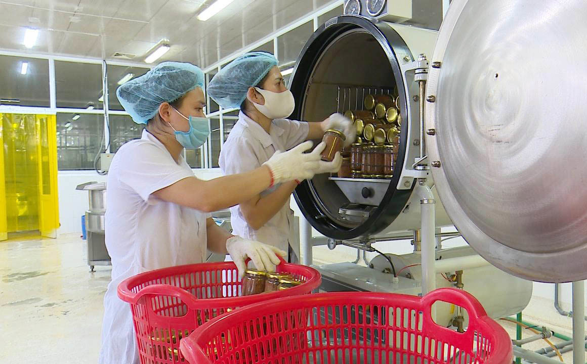 Hệ thống quản lý an toàn vệ sinh thực phẩm HACCP được áp dụng tại Công ty TNHH Sản xuất và Thương mại thuỷ sản Quảng Ninh