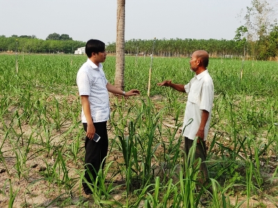 Nông dân huyện Dương Minh Châu vay vốn đầu tư sản xuất hiệu quả