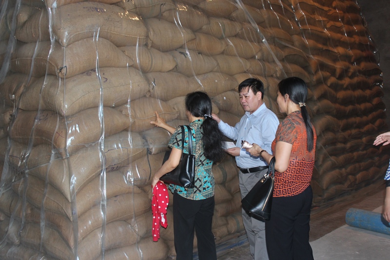  Ông Lê Văn Thời, Phó Tổng cục trưởng, Trưởng Ban Chỉ huy phòng chống lụt bão Tổng cục DTNN trực tiếp kiểm tra chất lượng hàng Dự trữ Quốc gia.