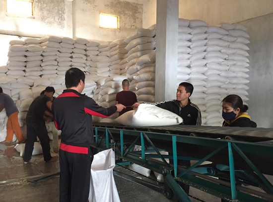 Cán bộ công chức Chi cục DTNN Quảng Ninh kiểm tra chất lượng gạo xuất hỗ trợ học sinh tỉnh Quảng Ninh.   