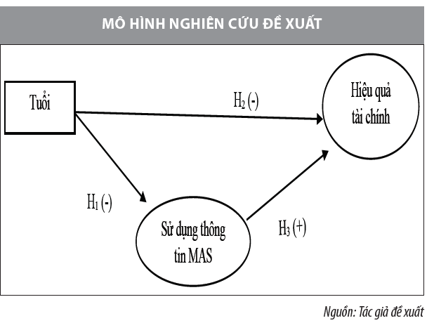 Yếu tố ảnh hưởng đến hành vi sử dụng thông tin kế toán quản trị và hiệu quả tài chính trong các doanh nghiệp Việt Nam - Ảnh 1