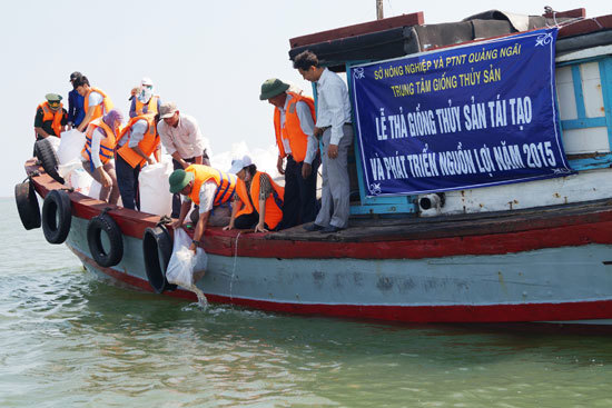 Trung tâm Giống Thủy sản Quảng Ngãi thả 1,2 triệu con tôm sú nhằm tái tạo và phát triển nguồn lợi thủy sản.