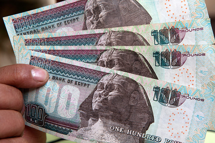Tiền tệ Ai Cập đã mất giá mạnh so với USD sau khi được thả nổi.
