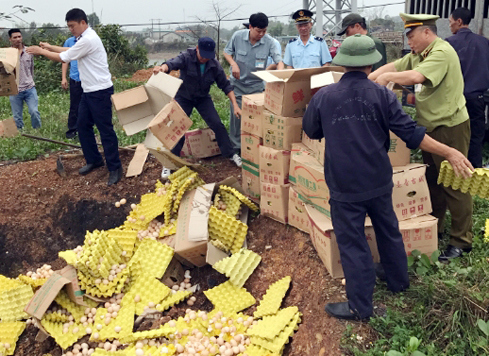 Lực lượng chức năng Quảng Ninh tiêu hủy trứng gà nhập lậu. Nguồn: internet.