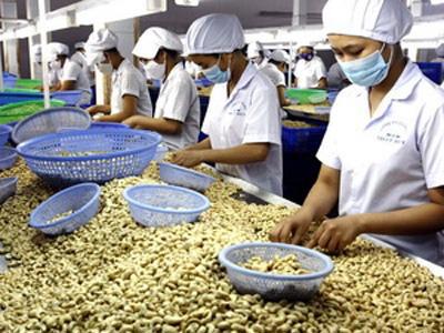 Việt Nam đang để mắt đến thị trường hạt điều Ấn Độ