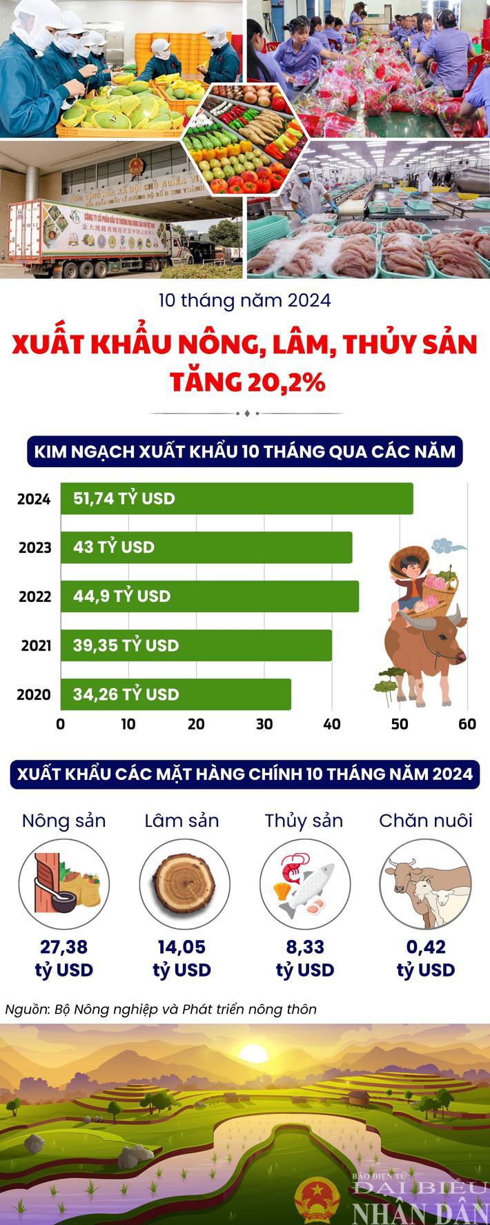 Xuất khẩu nông, lâm, thủy sản 10 tháng năm 2024 tăng 20,2% - Ảnh 1