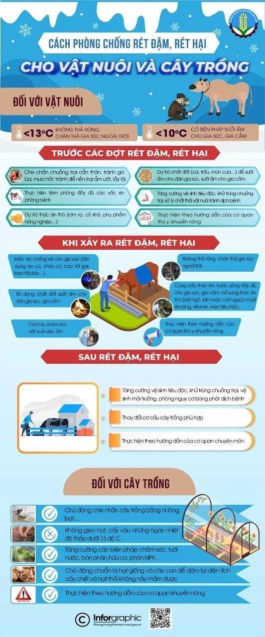 Một số kỹ năng phòng chống rét đậm rét hại - Ảnh 2