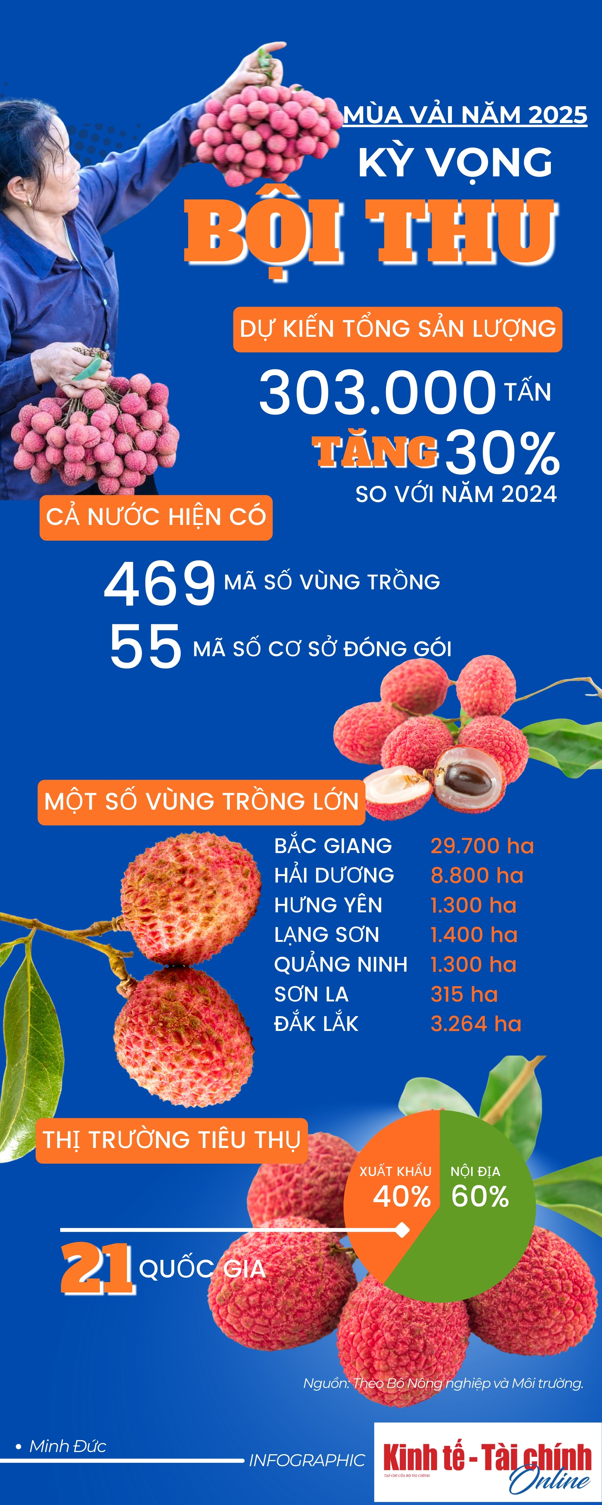 INFOGRAPHIC: Kỳ vọng bội thu mùa vải thiều năm 2025 - Ảnh 1