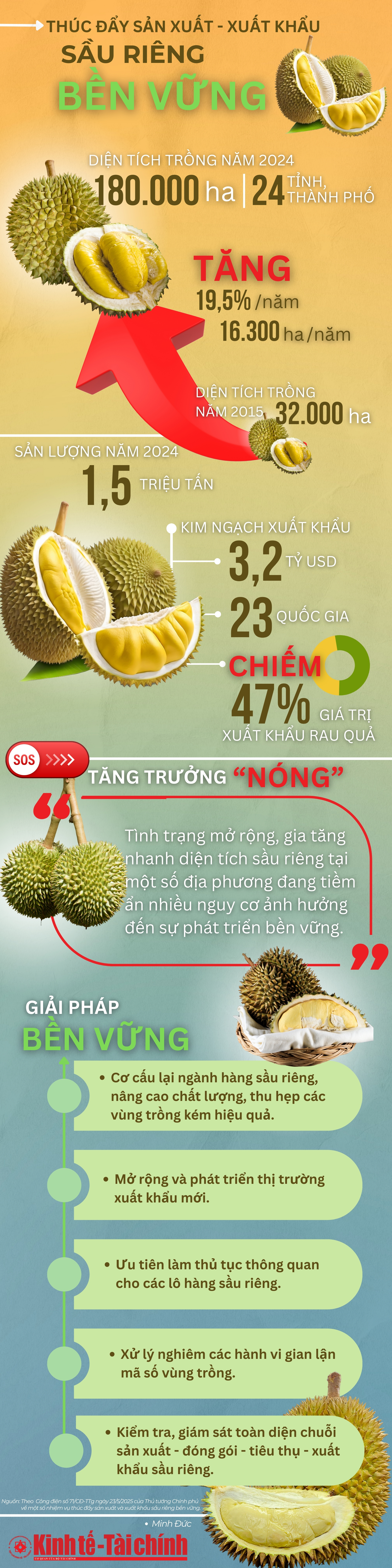 INFOGRAPHIC: Thúc đẩy sản xuất và xuất khẩu sầu riêng bền vững - Ảnh 1