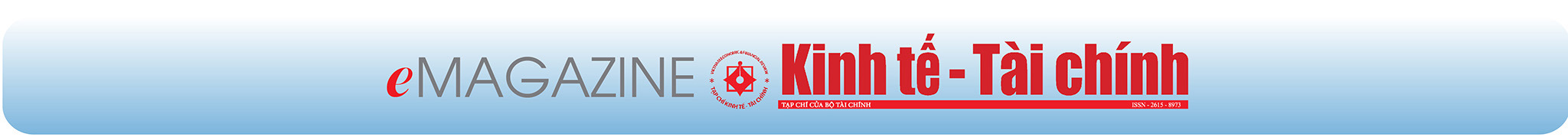 EMAGAZINE: Trưởng Ban Pháp chế (Cục Thuế) Nguyễn Thị Lan Anh: Mỗi nghiệp vụ thuế là một cơ duyên, một trải nghiệm - Ảnh 7