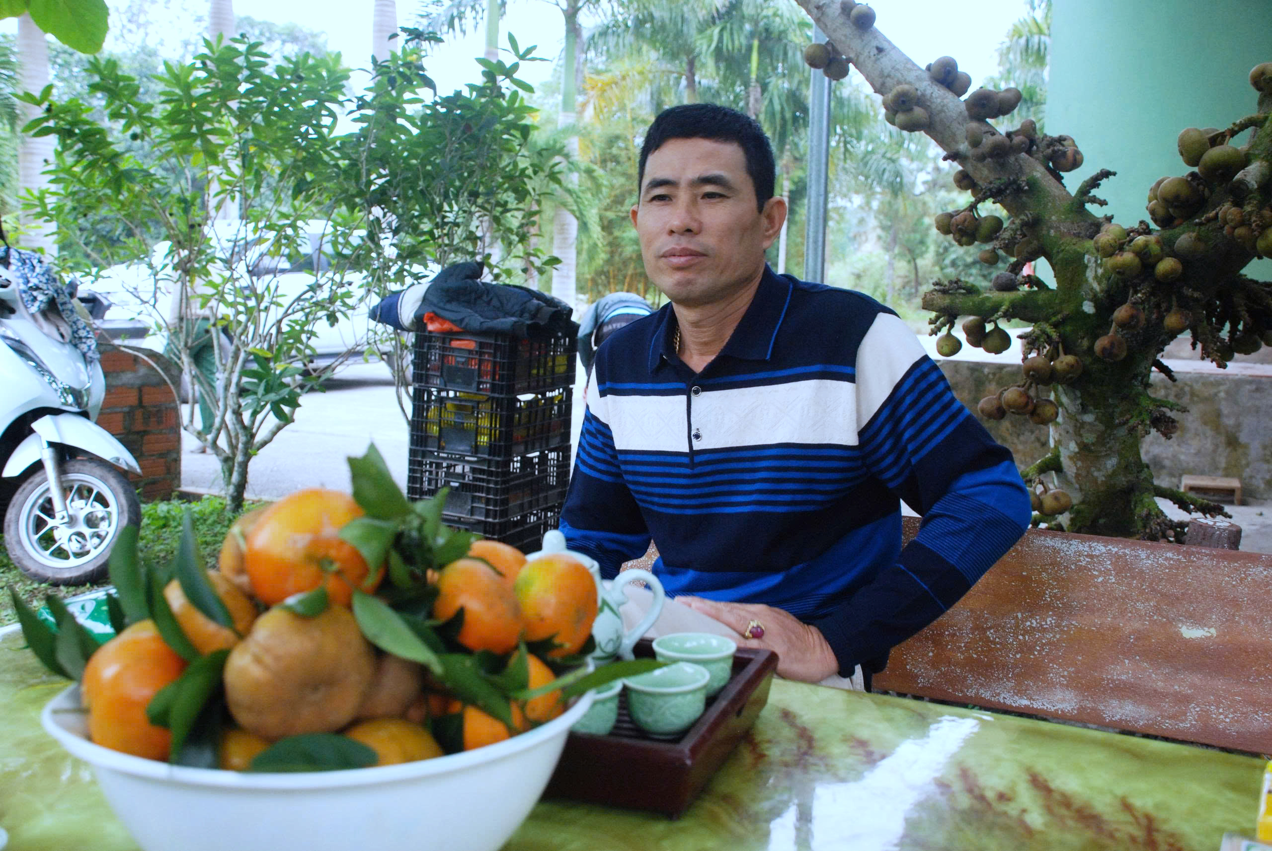 Anh Trần Văn Hậu chia sẻ về b&iacute; quyết trồng cam tr&ecirc;n đất V&acirc;n Đồn