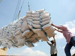 Xử lý việc xuất gạo tiểu ngạch sang Trung Quốc