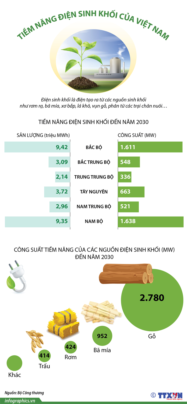 [Infographics] Tiềm năng điện sinh khối của Việt Nam - Ảnh 1