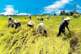 Làm gì để FDI “đổ“ vào nông nghiệp?