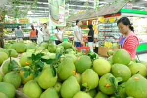Xuất khẩu rau quả Việt Nam: Kỳ vọng con số 1 tỷ USD