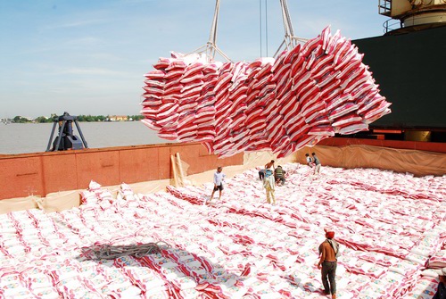  Xuất khẩu gạo đã vượt 1 tỉ USD