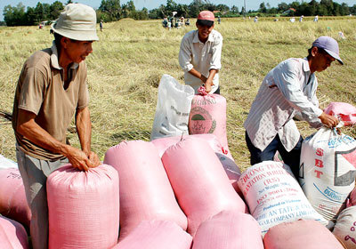 Thủ tướng Chính phủ chỉ đạo mua tạm trữ 1 triệu tấn thóc gạo