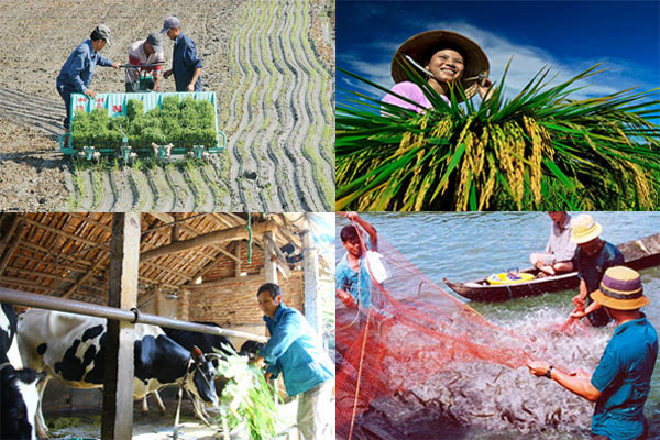 Những điểm nhấn căn bản trong Luật sửa đổi, bổ sung một số điều Luật Thuế Giá trị gia tăng