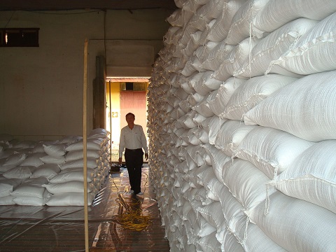 Xuất cấp hơn 33 nghìn tấn gạo hỗ trợ học sinh tại các trường ở khu vực khó khăn