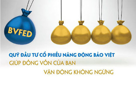 Quỹ đầu tư Cổ phiếu Năng động Bảo Việt được cấp phép thành lập