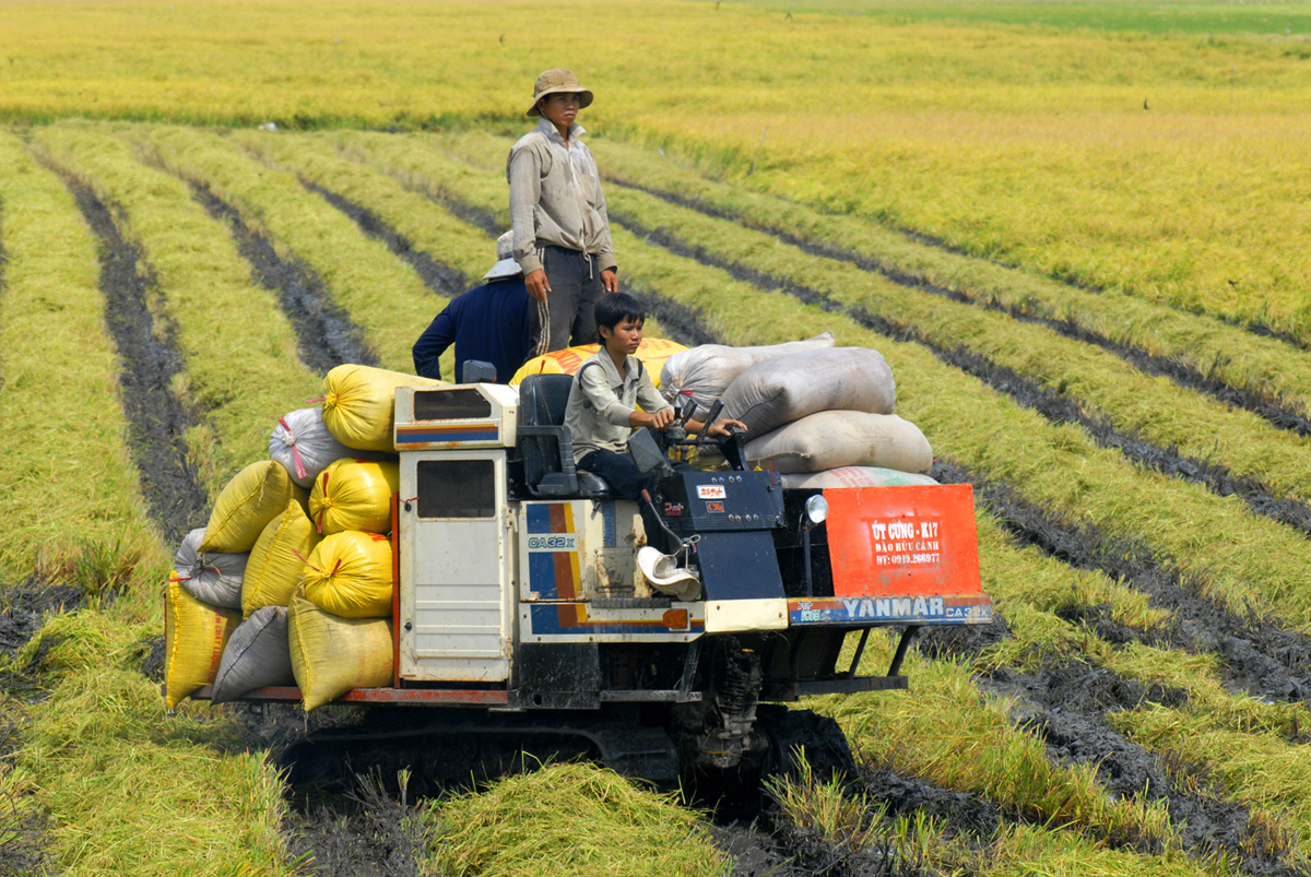 ODA nông thôn Việt Nam là hình mẫu thế giới