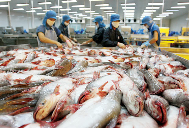Phản đối thuế chống bán phá giá cá tra Việt Nam