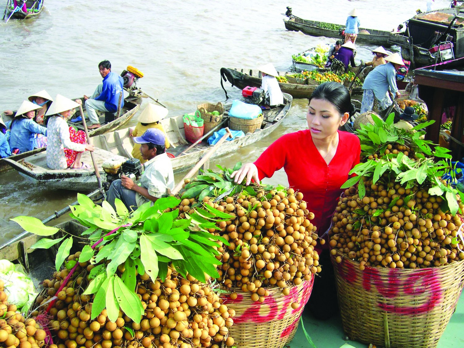 Trái cây Việt rộng đường xuất khẩu