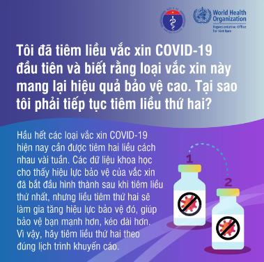 [Infographics] Những điều cần biết về vắc xin COVID-19  - Ảnh 6