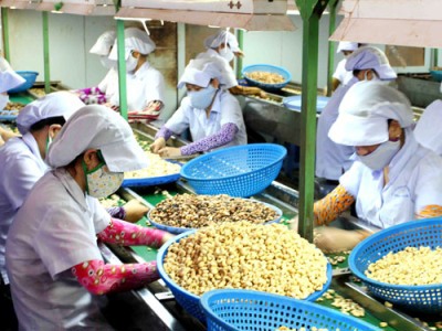 Bộ Tài chính hướng dẫn chính sách thuế đối với hàng nông sản trồng tại Campuchia