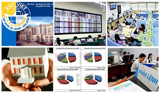 Năm 2015 hoàn thành cơ cấu lại tổ chức kinh doanh chứng khoán và doanh nghiệp bảo hiểm