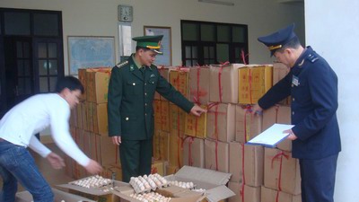 Hải quan Quảng Ninh: 7 tháng phát hiện, bắt giữ 338 vụ buôn lậu